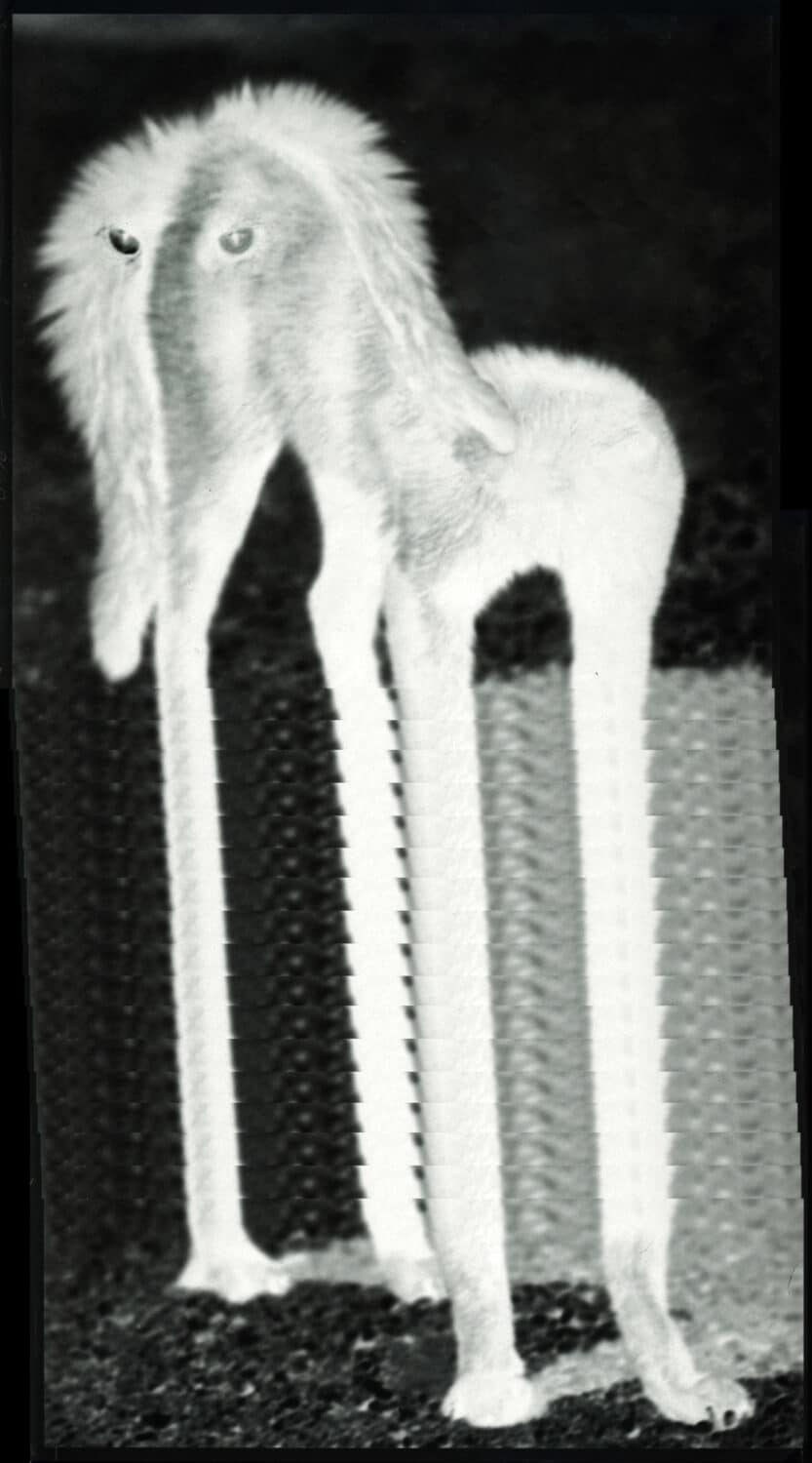 13Photo-Tamara Janes-Swiss Design Award