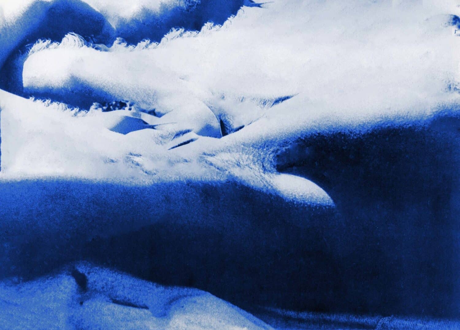 13Photo-Tamara Janes-Swiss Design Award