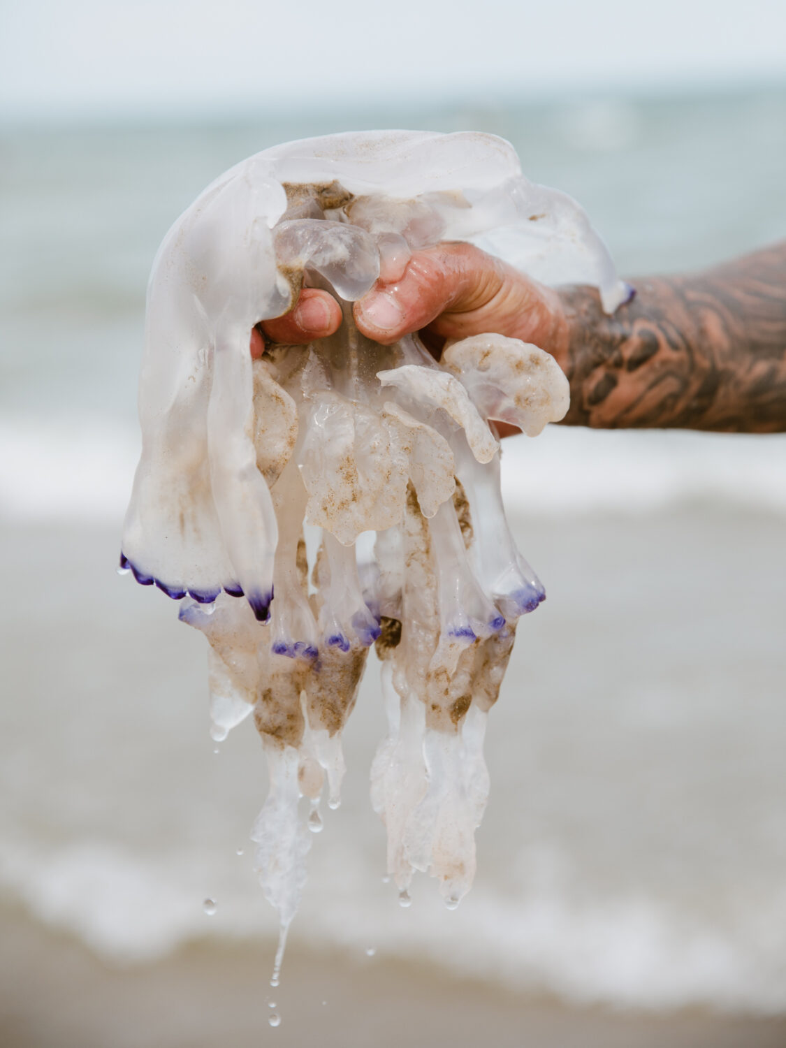 13 Photo - Anne Gabriel-Jürgens - Küstenerosion