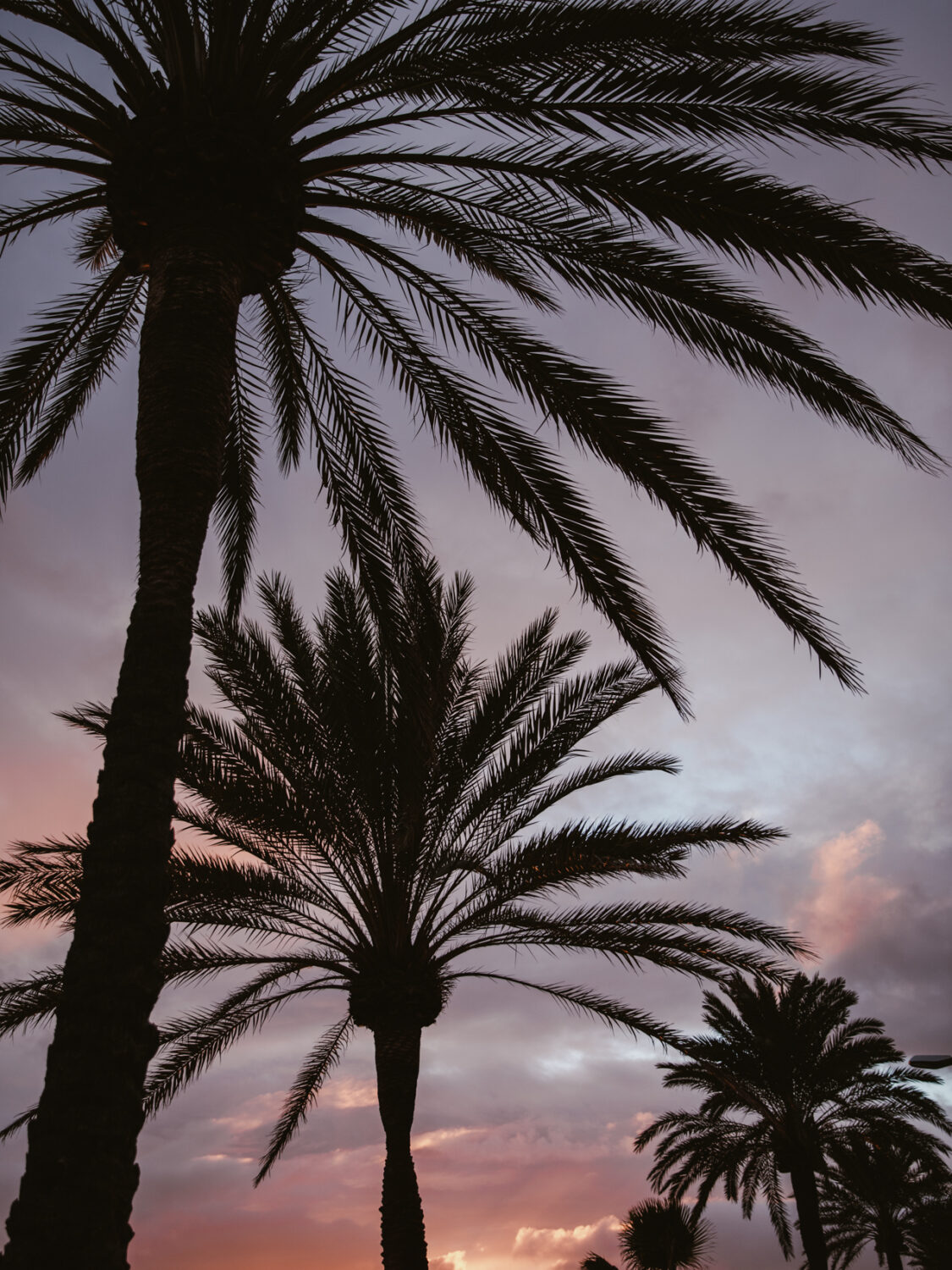 13 Photo - Anne Gabriel-Jürgens - Küstenerosion