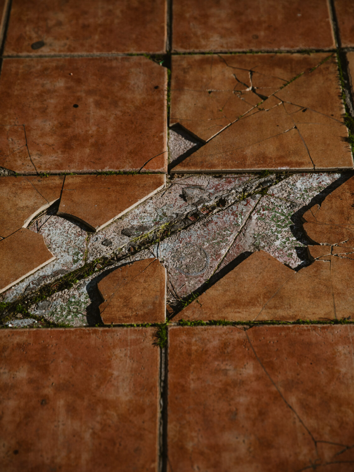 13 Photo - Anne Gabriel-Jürgens - Küstenerosion