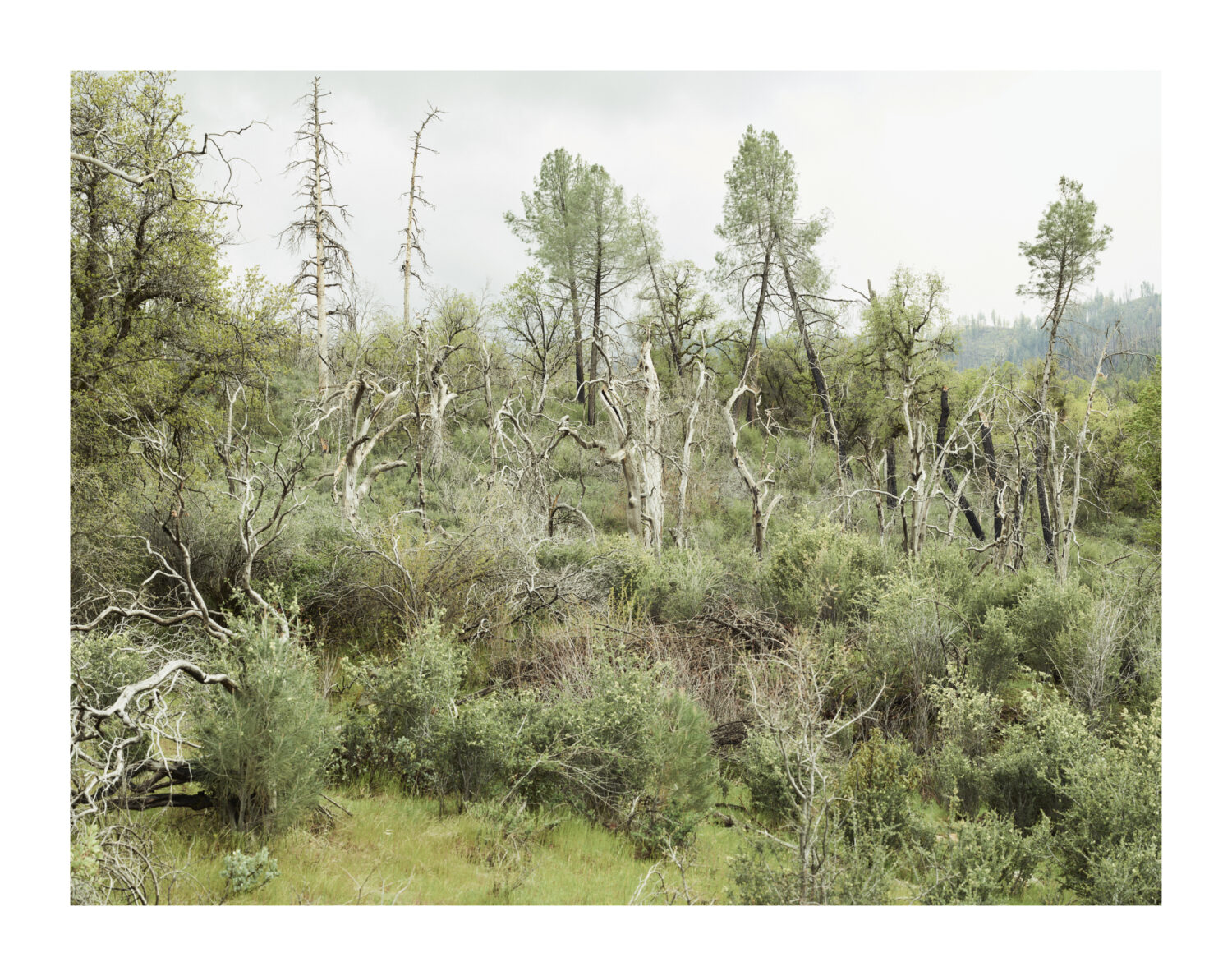 13Photo-Kostas Maros - Human Nature