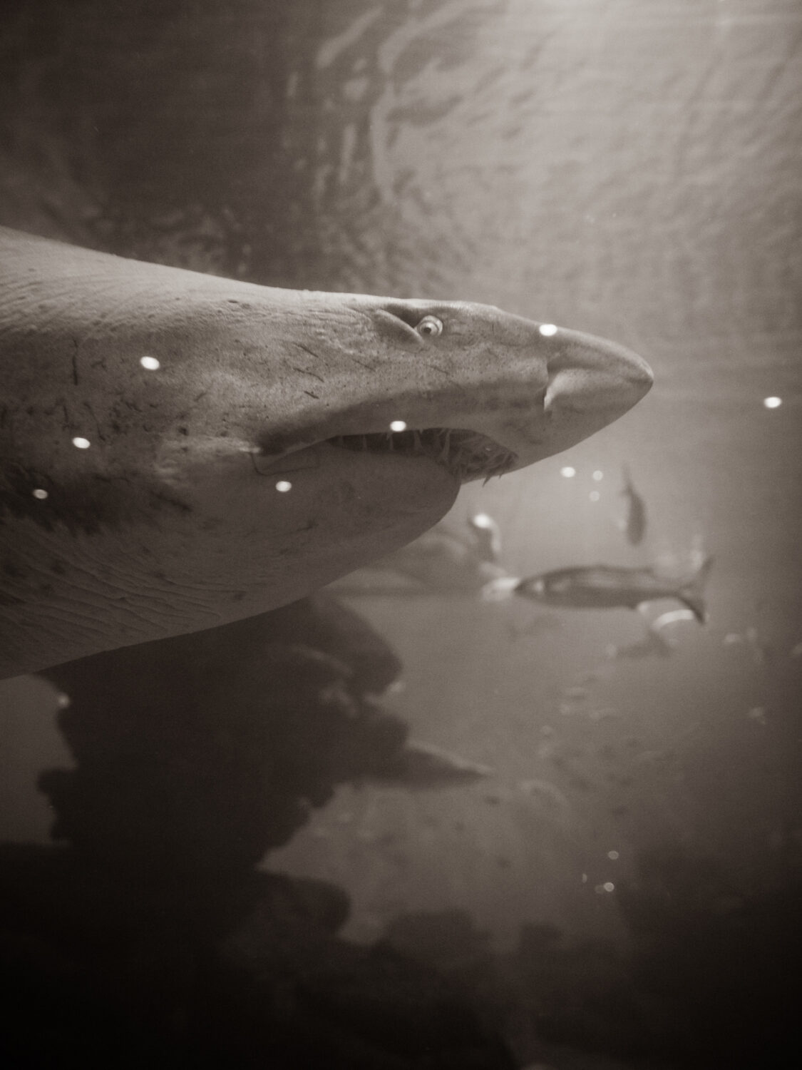 13 Photo - Anne Gabriel-Jürgens - Küstenerosion