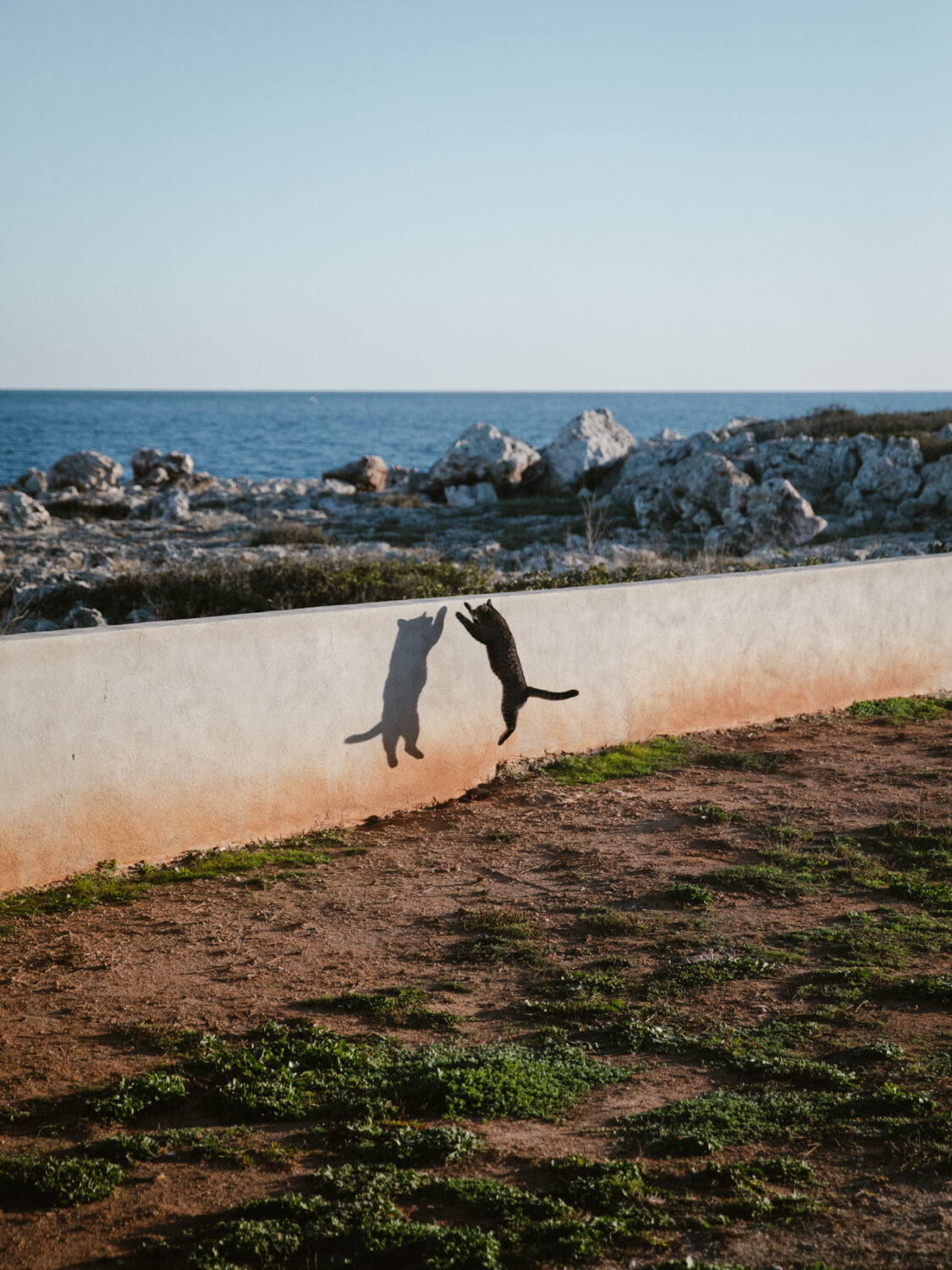 13 Photo - Anne Gabriel-Jürgens - Küstenerosion