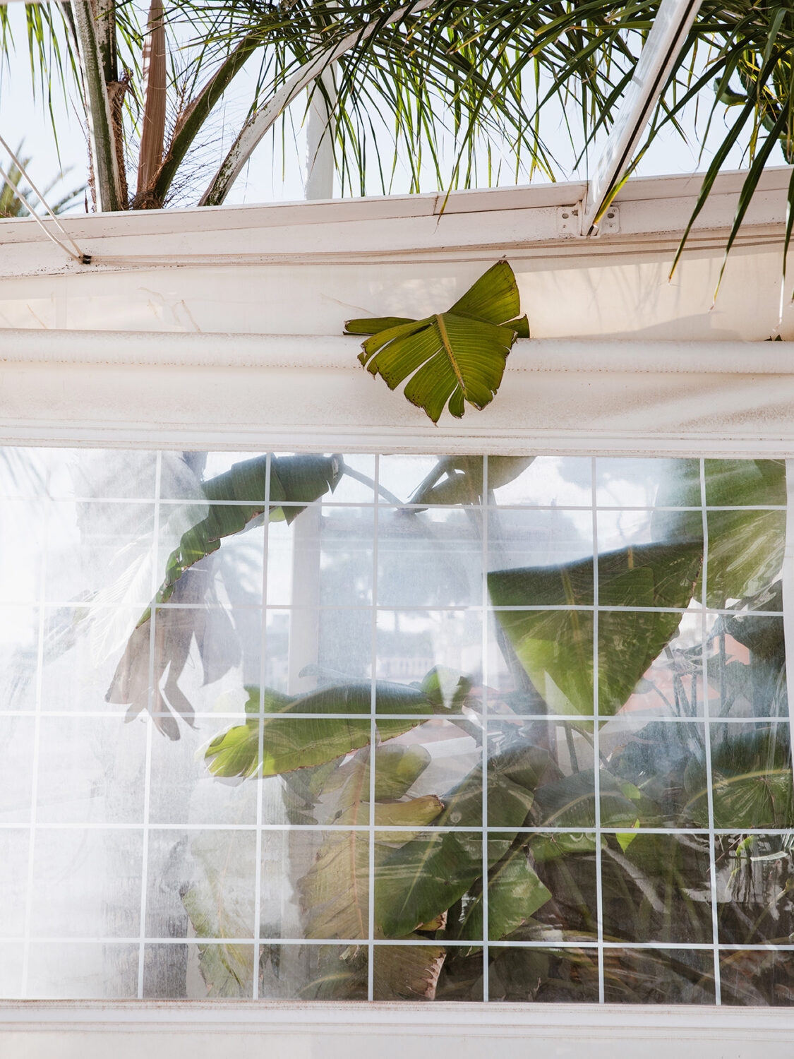 13 Photo - Anne Gabriel-Jürgens - Küstenerosion