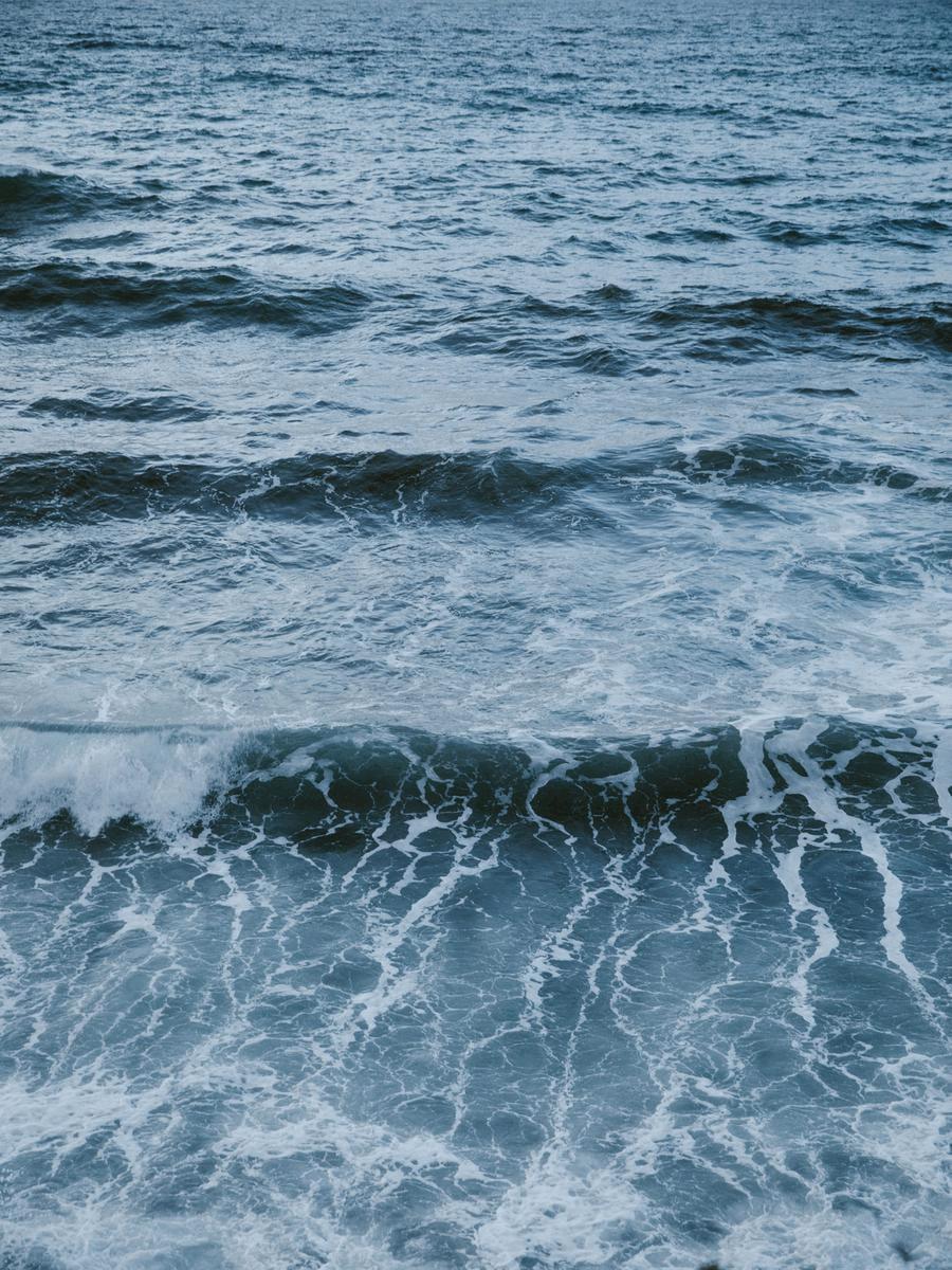 13 Photo - Anne Gabriel-Jürgens - Küstenerosion