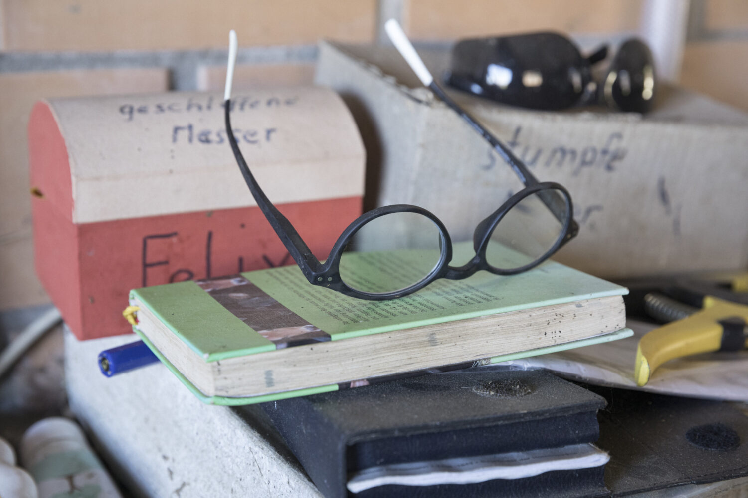 13Photo-Daniel Rihs-Frauen in der Landwirtschaft