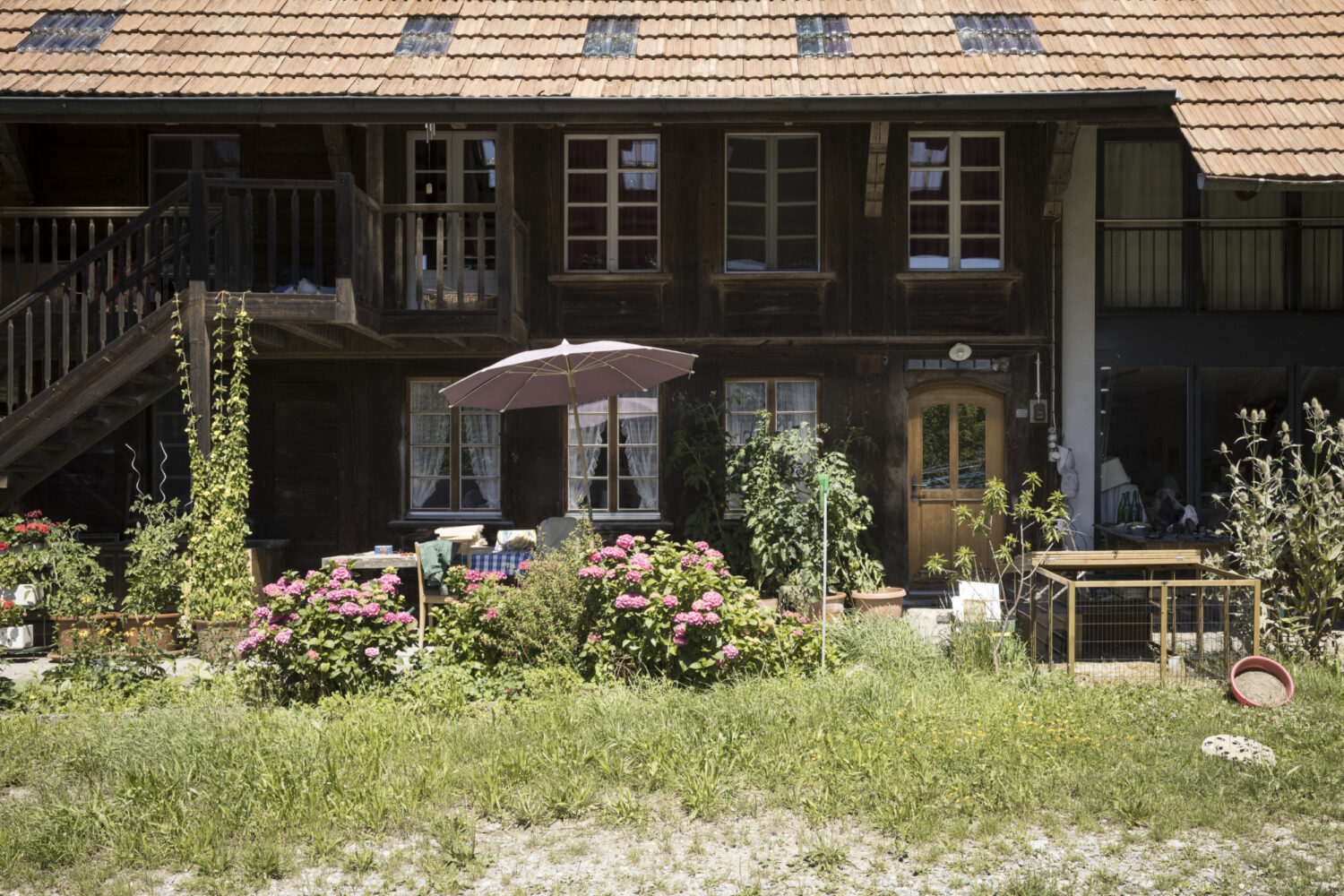 13Photo-Daniel Rihs-Frauen in der Landwirtschaft