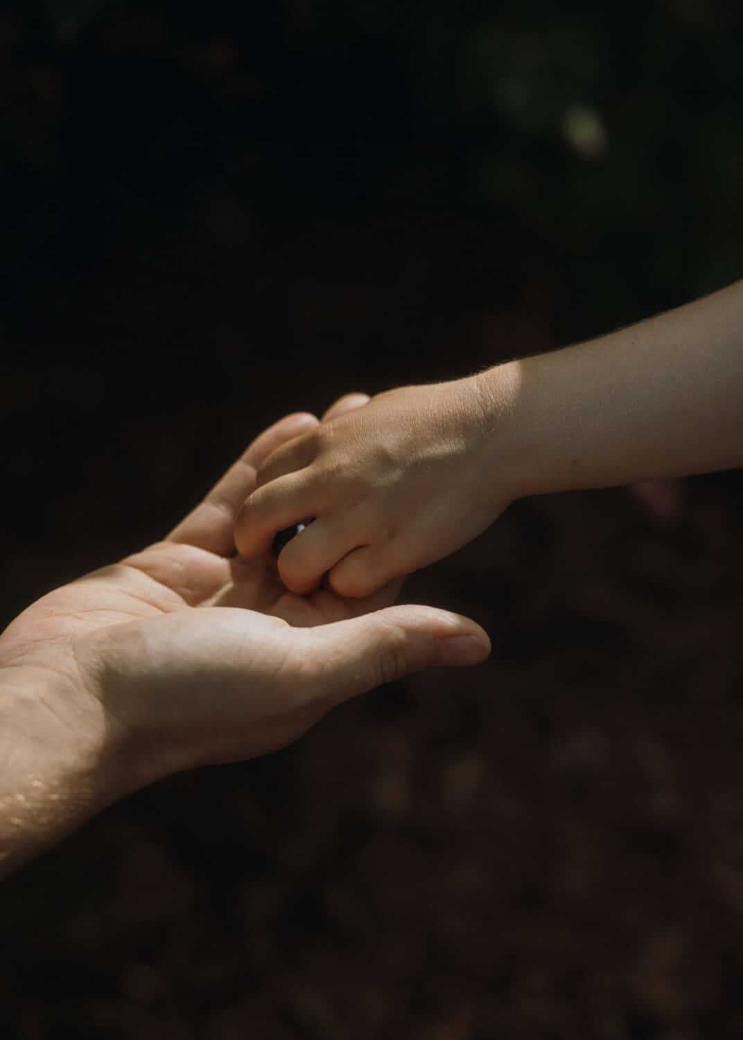 13Photo-Ulrike Meutzner-Lebenshof