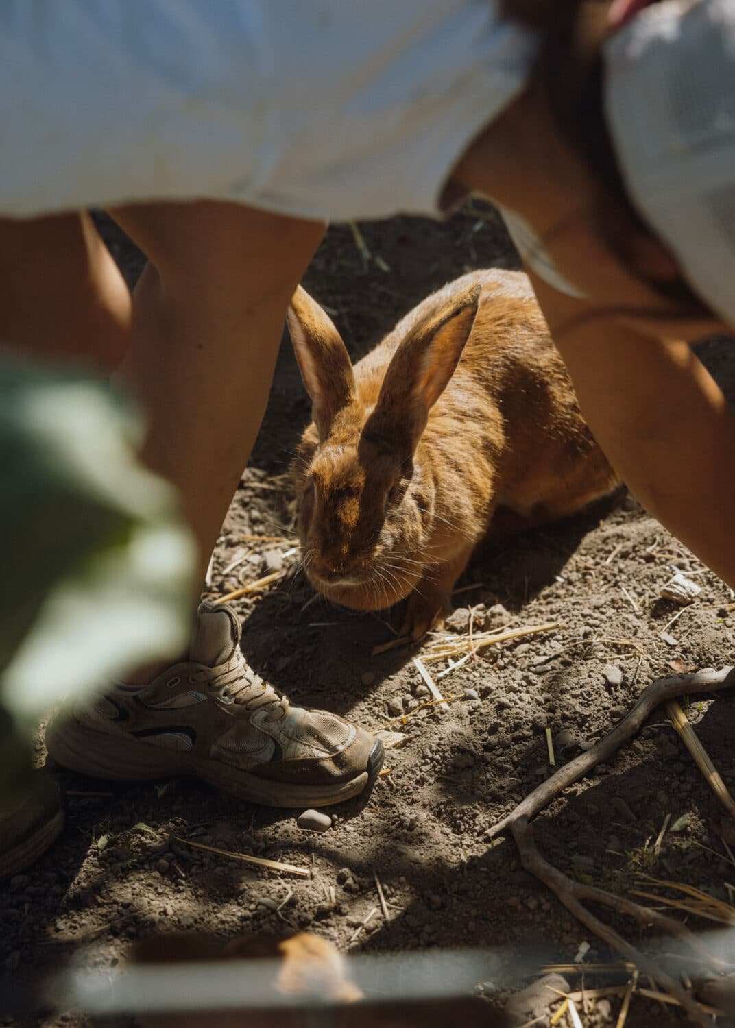 13Photo-Ulrike Meutzner-Lebenshof