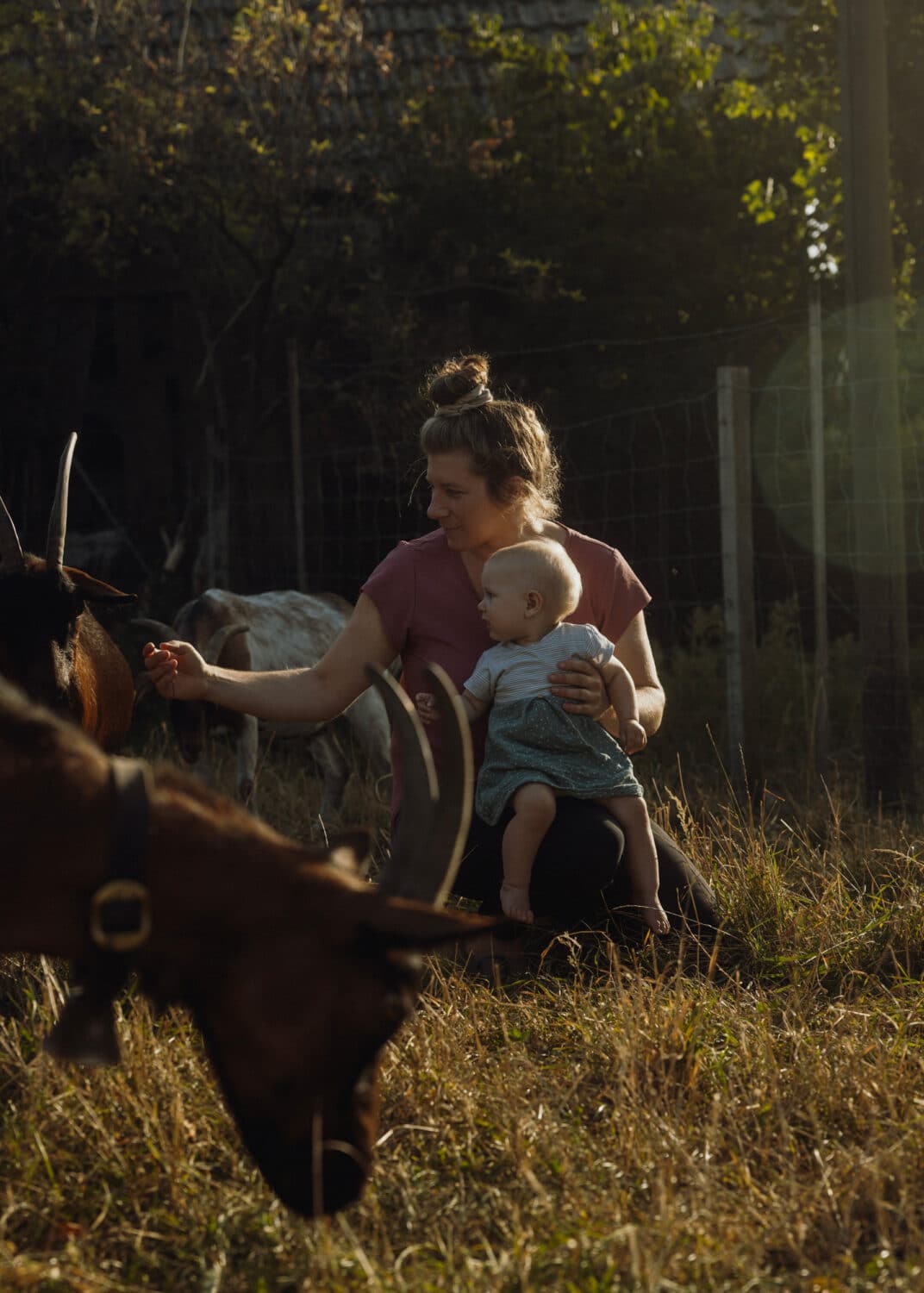 13Photo-Ulrike Meutzner-Lebenshof