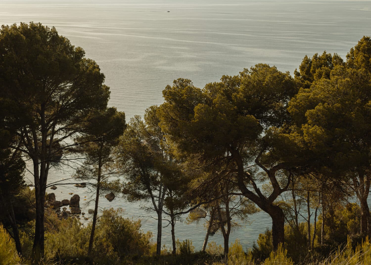 13Photo-Ulrike Meutzner-she she retreat