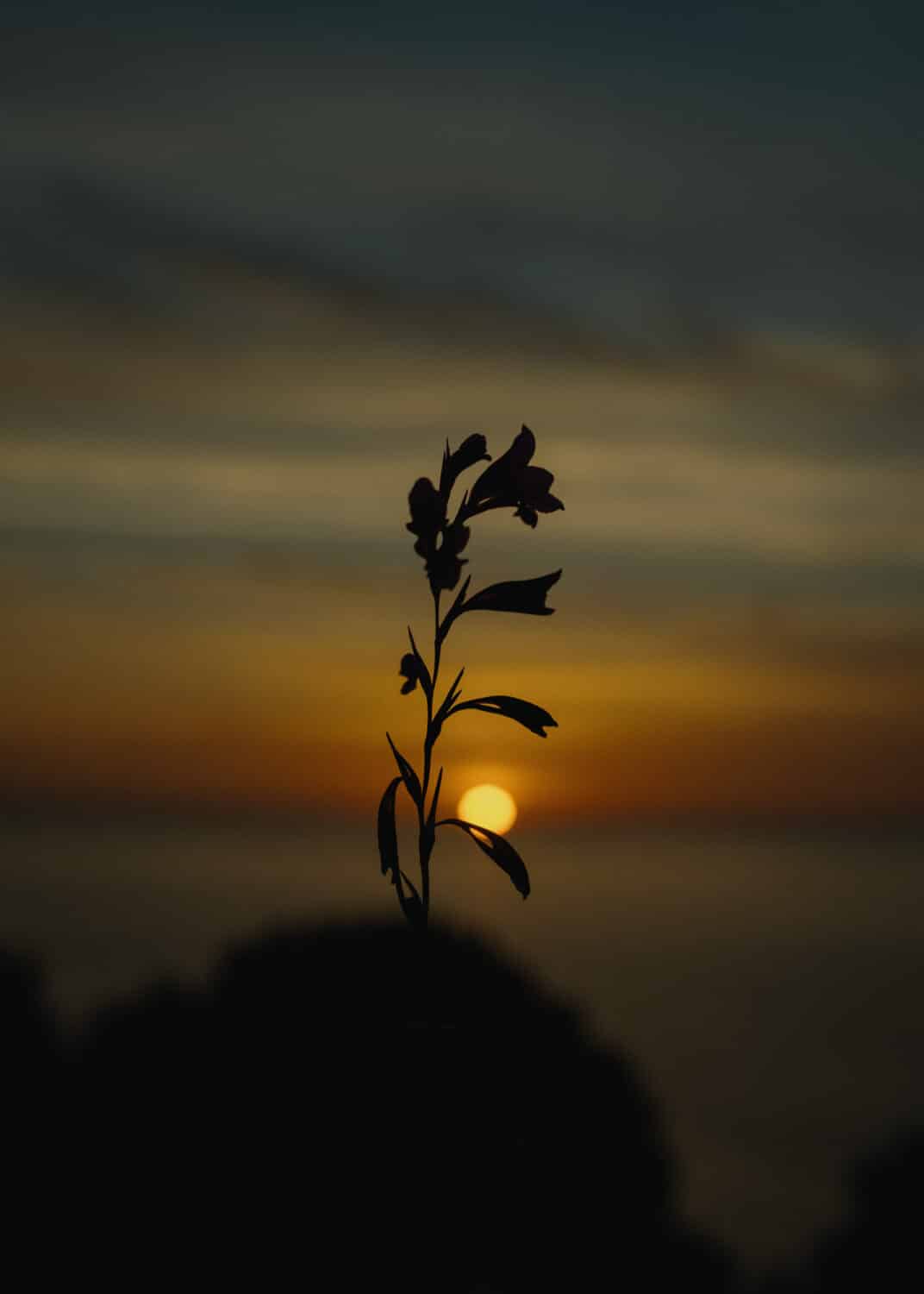 13Photo-Ulrike Meutzner-she she retreat