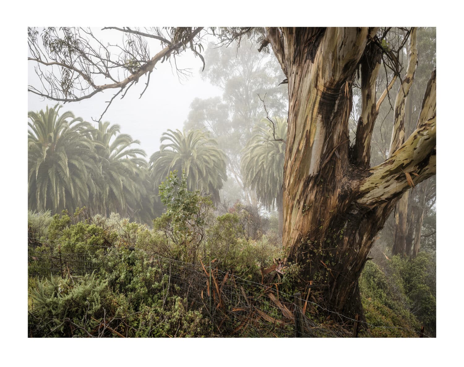 13Photo-Kostas Maros-Mythen des Alltags