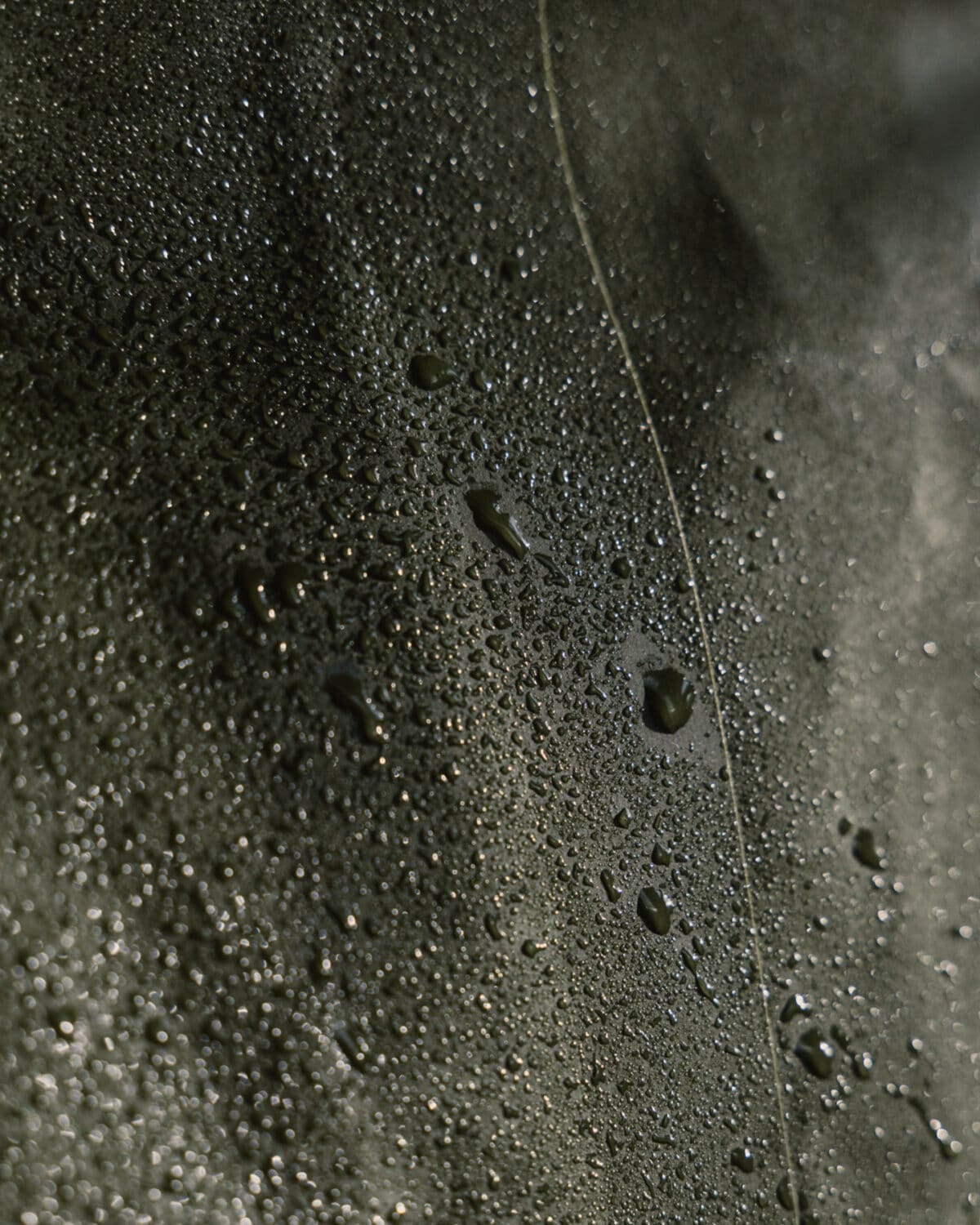 13Photo-Paolo De Caro-Nomady